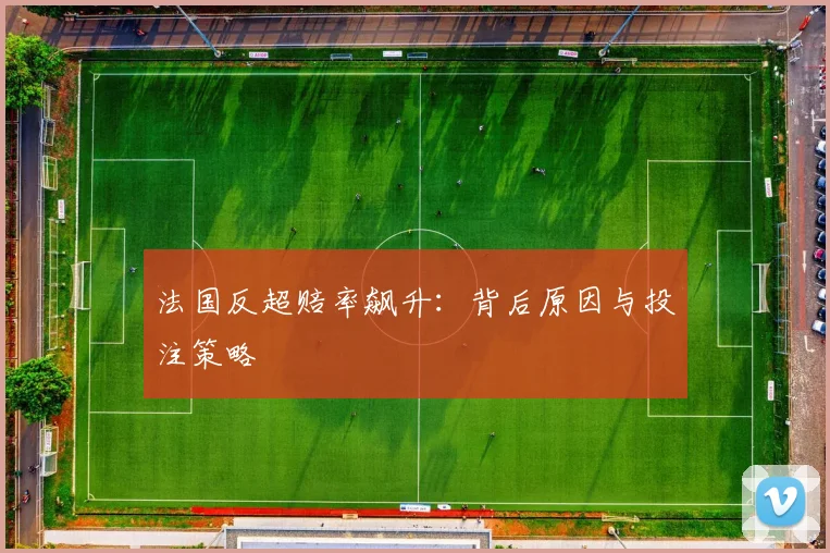 法国反超赔率飙升:背后原因与投注策略